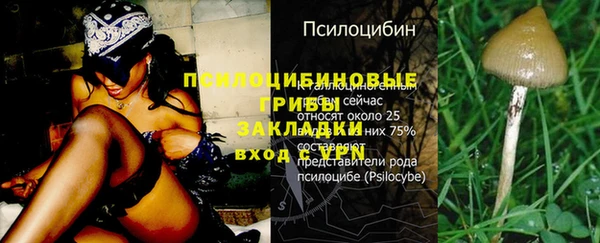 героин Михайловка