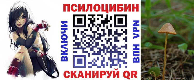 Купить закладки  Кинель  Псилоцибиновые грибы Cubensis 